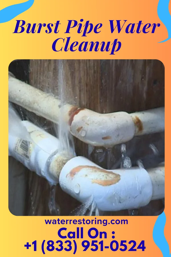 Burst Pipe Water Cleanup in Middlesex, NJ