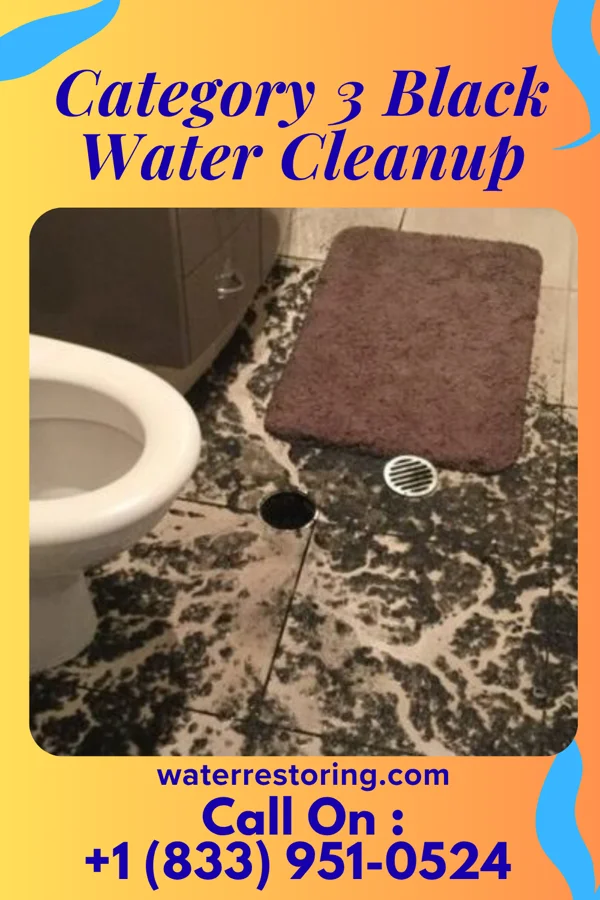 Category 3 Black Water Cleanup in Middlesex, NJ