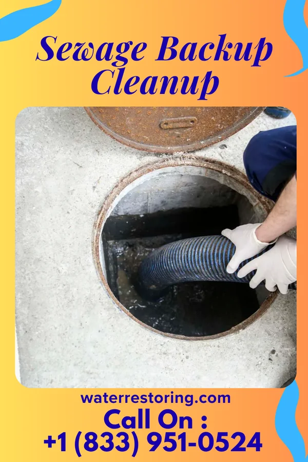 Sewage Backup Cleanup in Middlesex, NJ