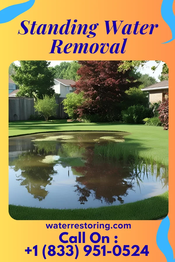 Standing Water Removal in Middlesex, NJ